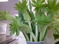 DSCF0016