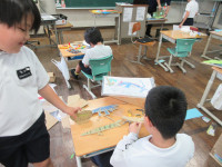 IMG_7705