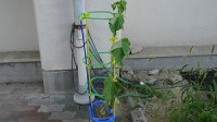 DSC07742