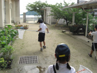CIMG7767